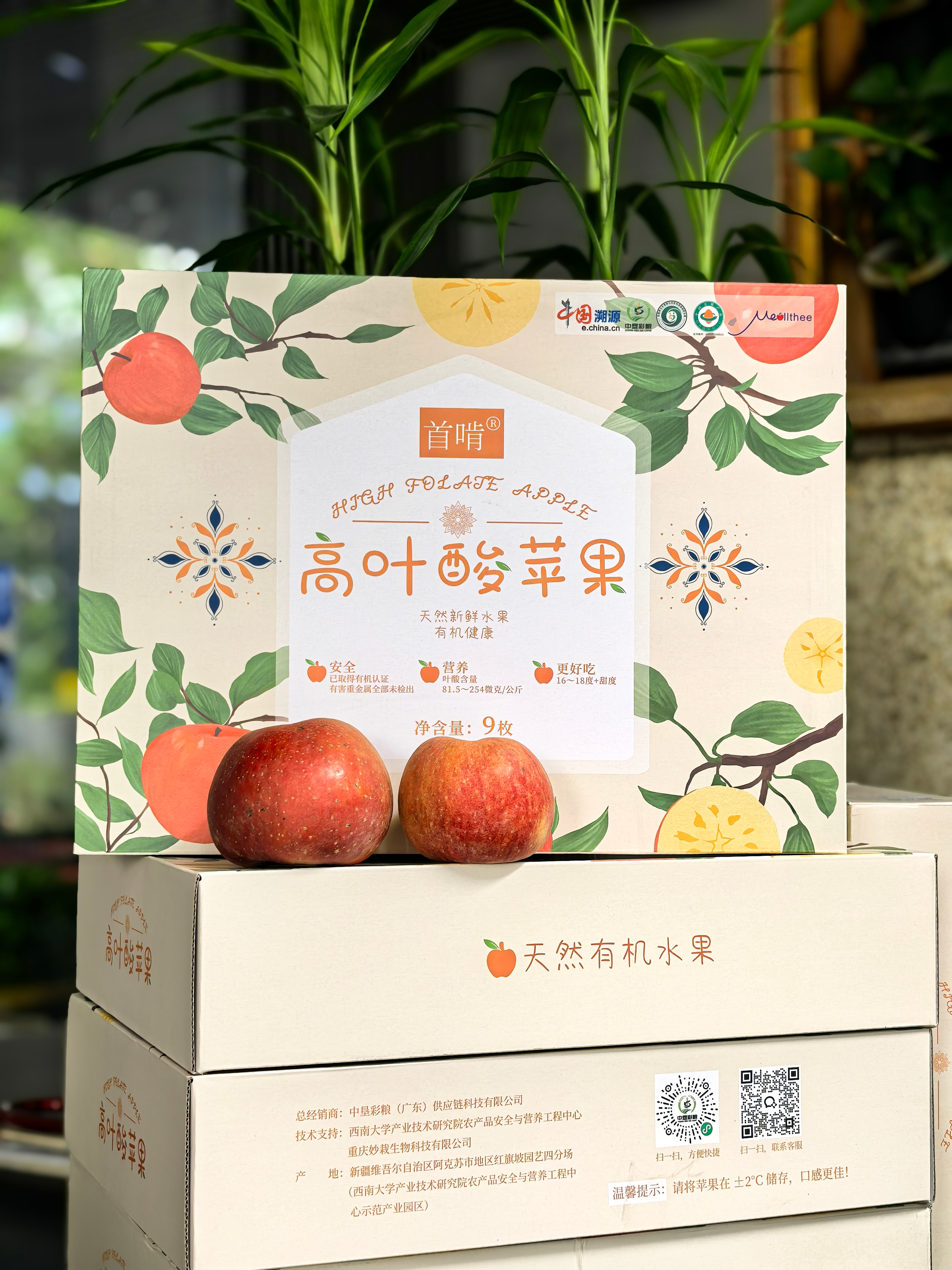 Seafood product display with fresh fish neatly arranged alongside cold chain transportation equipment and professional quality inspectors checking product quality